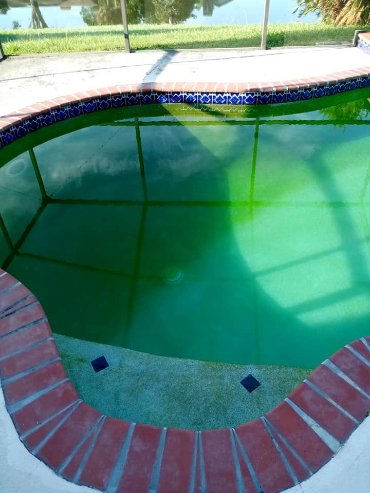 Green pool with brick coping, blue tile trim, and surrounding patio.