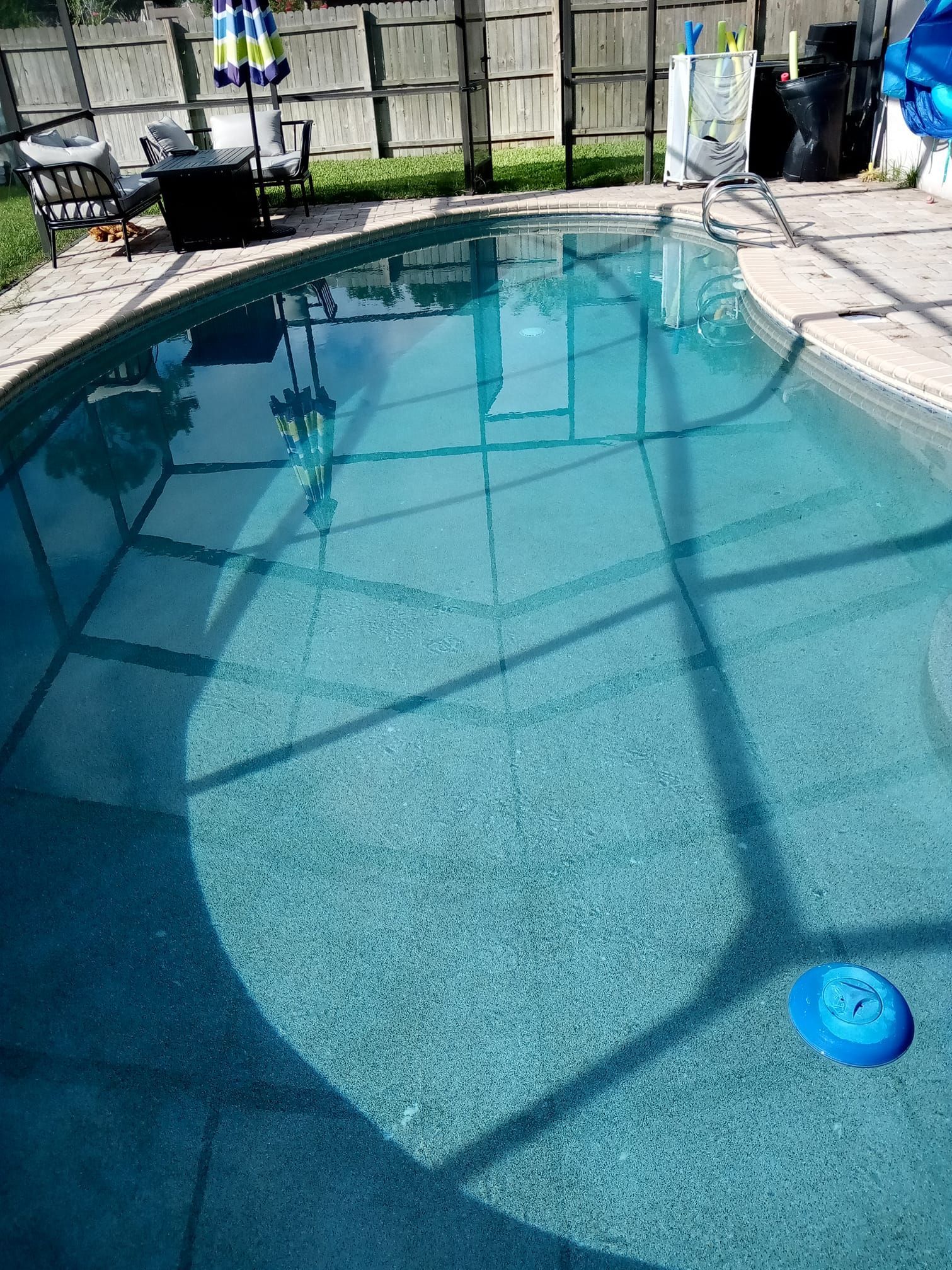 Swimming pool with blue water, surrounded by concrete and a fence. A blue floating device is in the water.