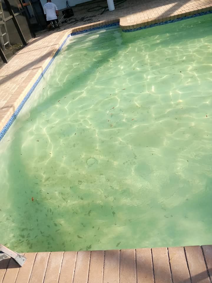 Swimming pool with murky, greenish water, debris on the bottom. Someone in white attire standing nearby.
