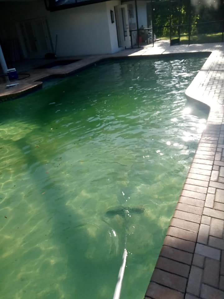Green, algae-filled swimming pool; someone cleaning it with a long-handled brush; brick pool deck.