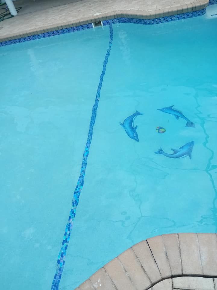 Blue swimming pool with dolphin mosaic, marked lane, and stone coping.