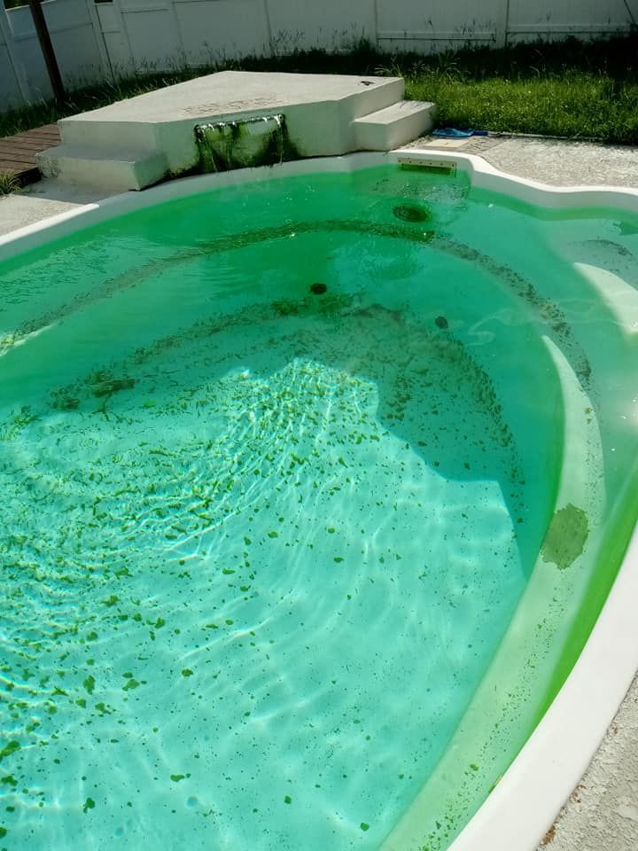Green algae-filled swimming pool with white trim and a small set of stairs leading to a platform.