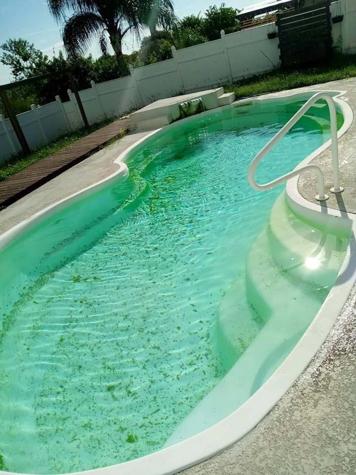 Green algae-filled swimming pool with white steps and handrail; outdoors, sunny.
