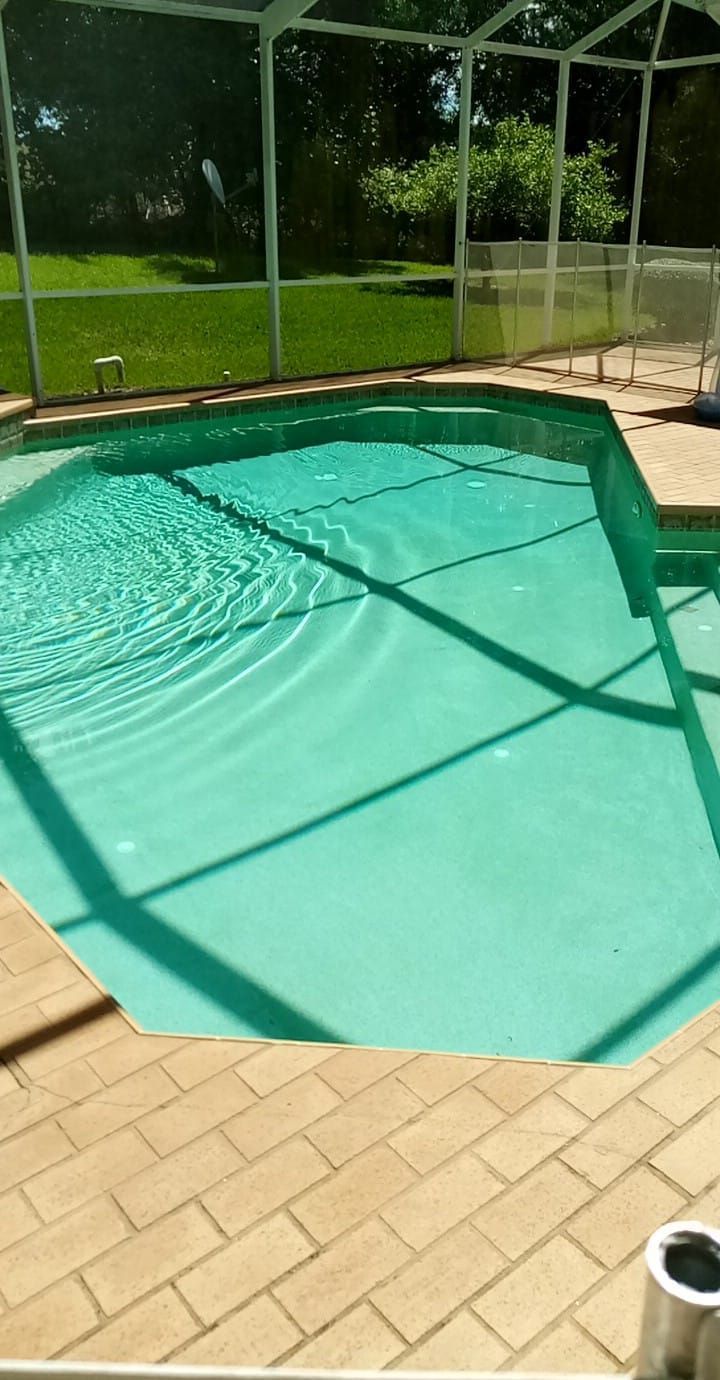 A swimming pool filled with turquoise water, enclosed by a white screen and brick border, surrounded by green grass.