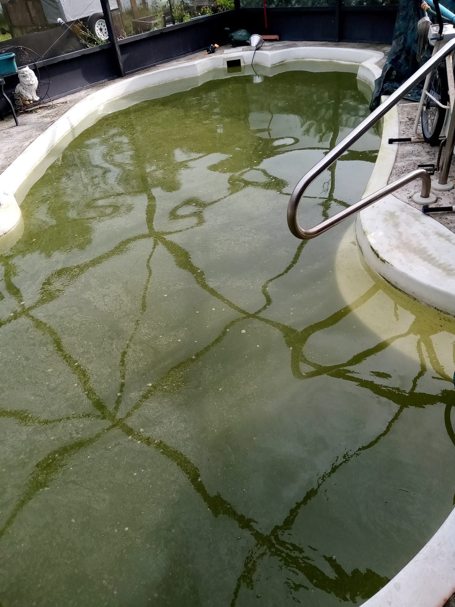 Overgrown green pool with visible cracks. Stainless steel handrail on the right.