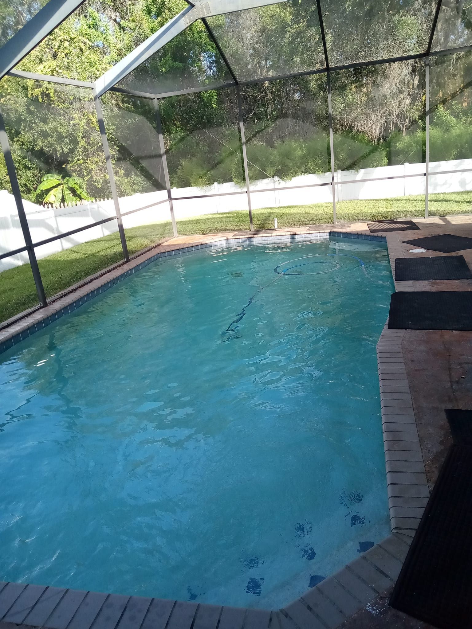 Pool enclosed by a screen. Turquoise water, surrounding brick and patio with green grass and foliage in the background.