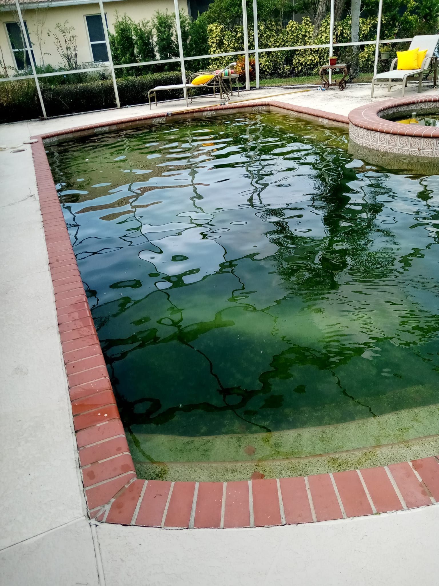 Green, algae-filled swimming pool with brick trim; a partially visible hot tub is on the right.