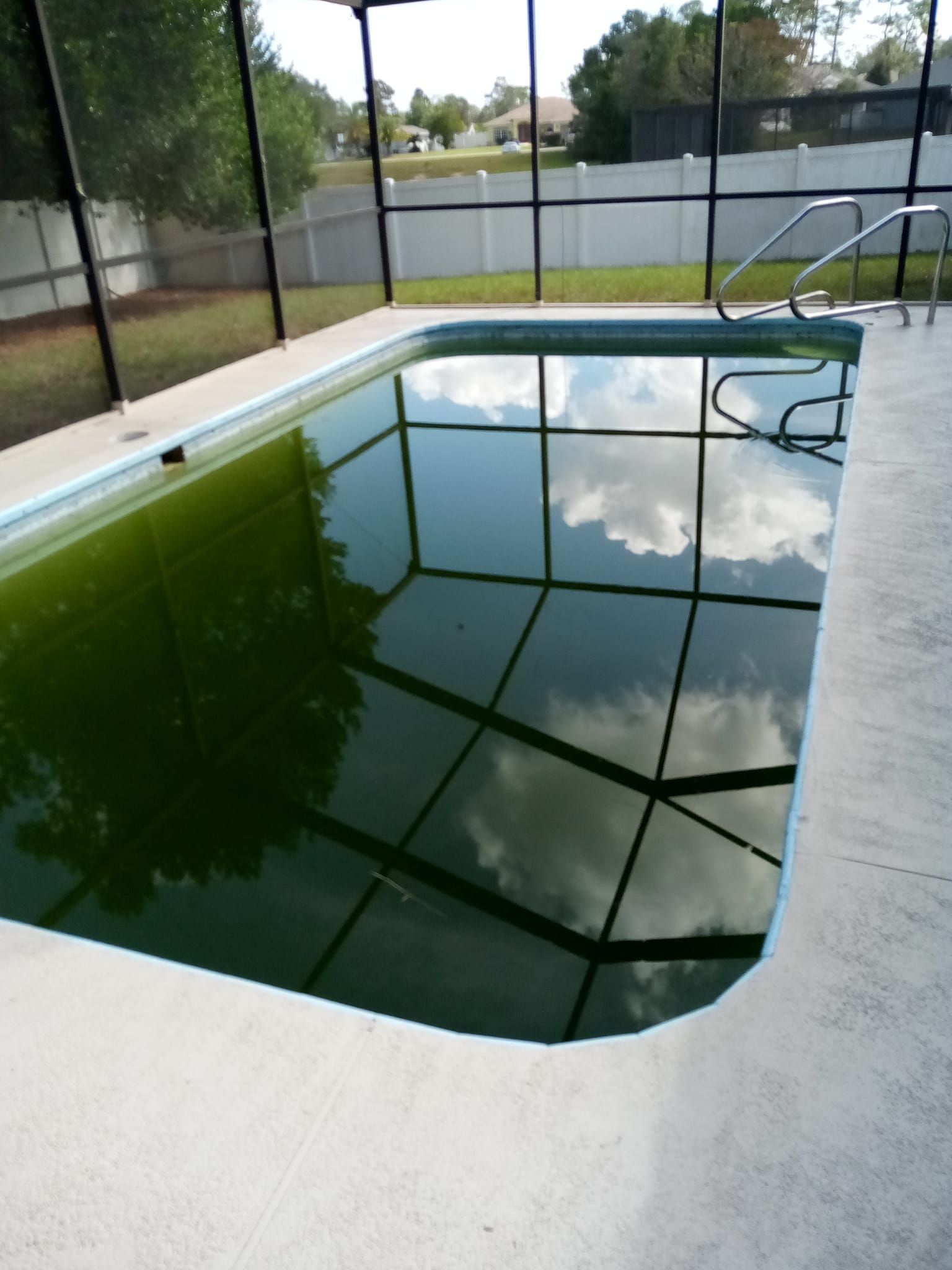 Green, algae-filled swimming pool enclosed by a screen. The sky reflects in the water. Concrete deck.
