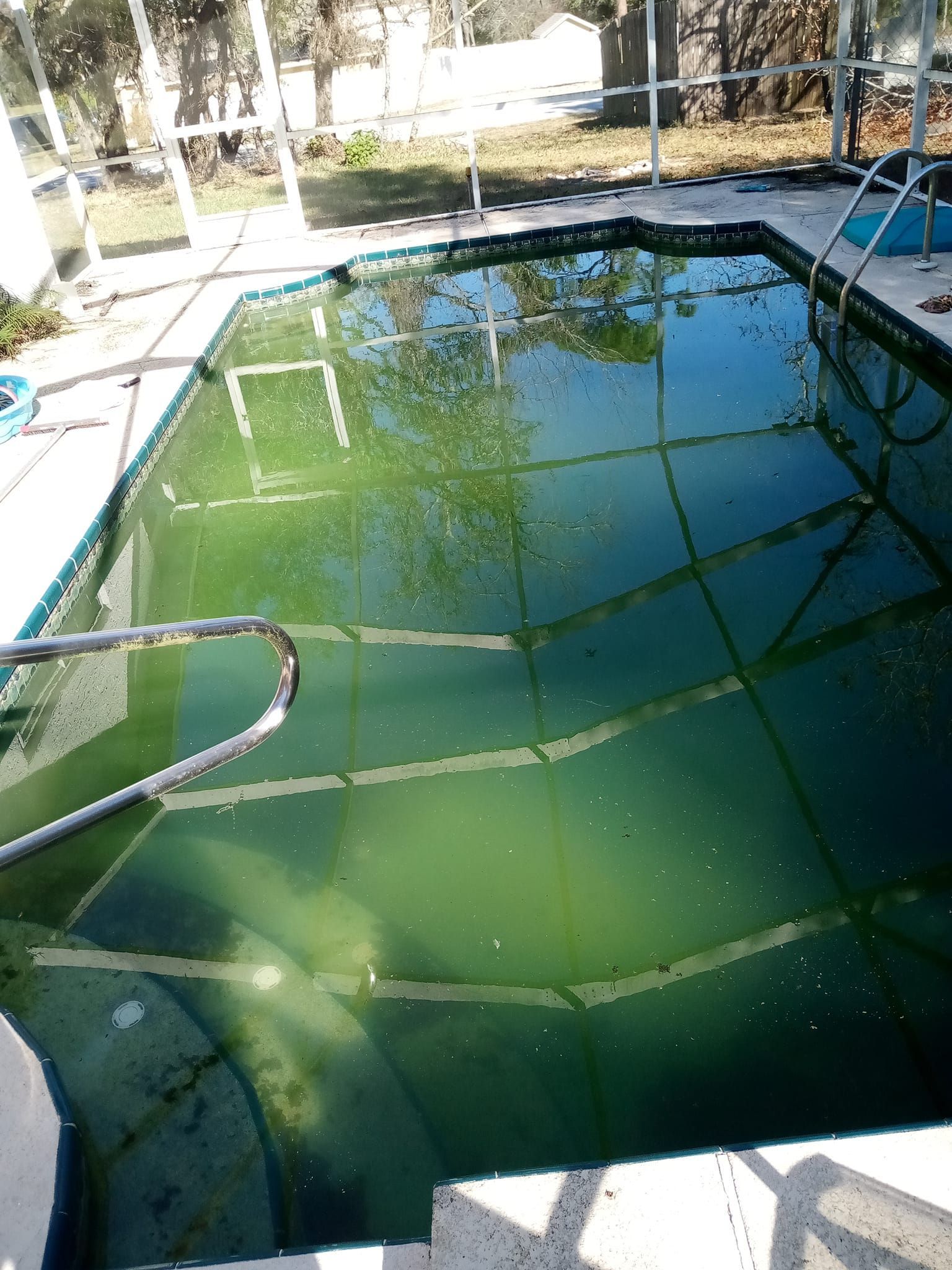 Green, algae-filled swimming pool with a screen enclosure, metal ladder and steps.