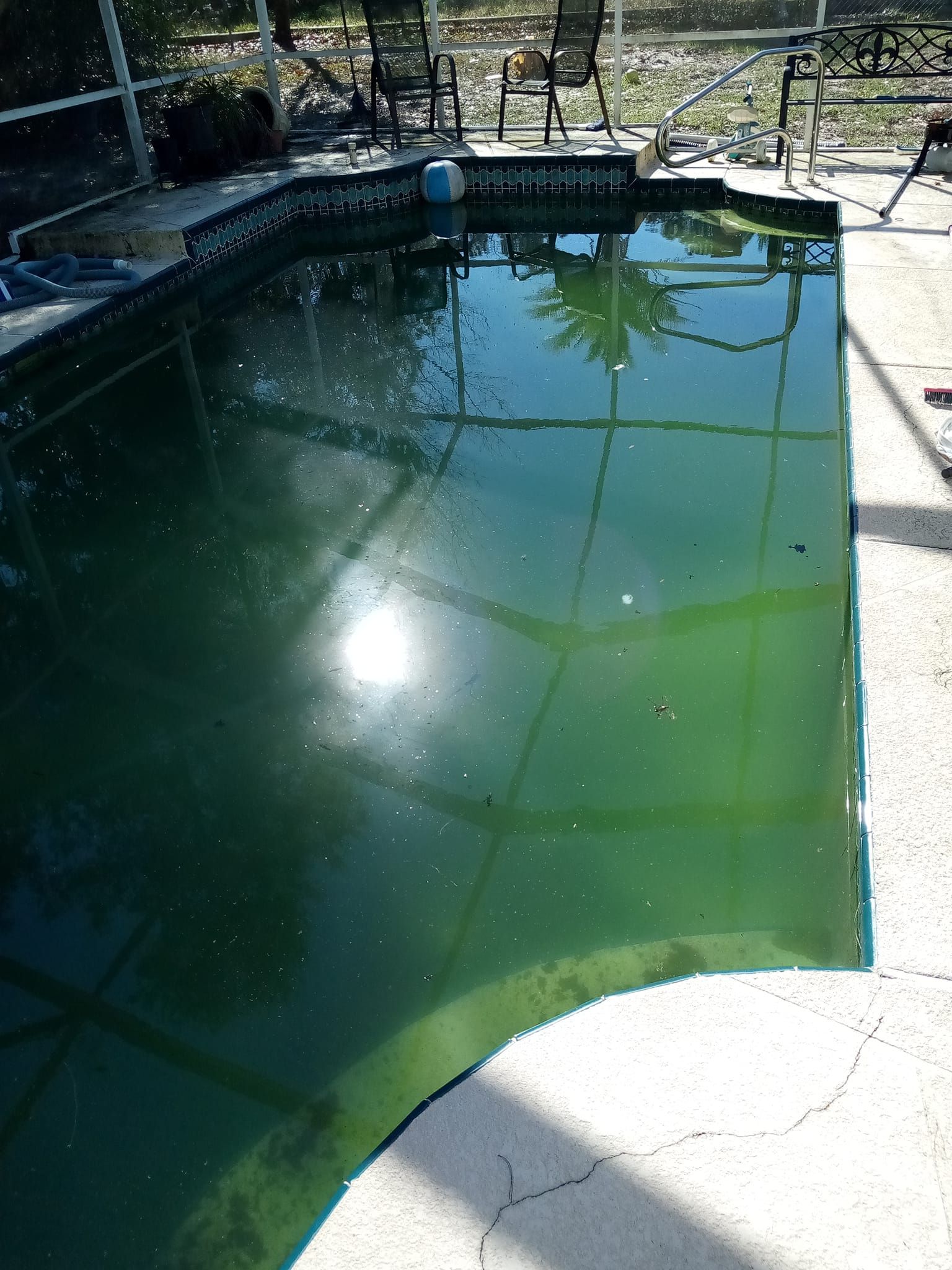 Green, algae-filled swimming pool reflecting the sun and surrounding yard, next to a concrete patio.