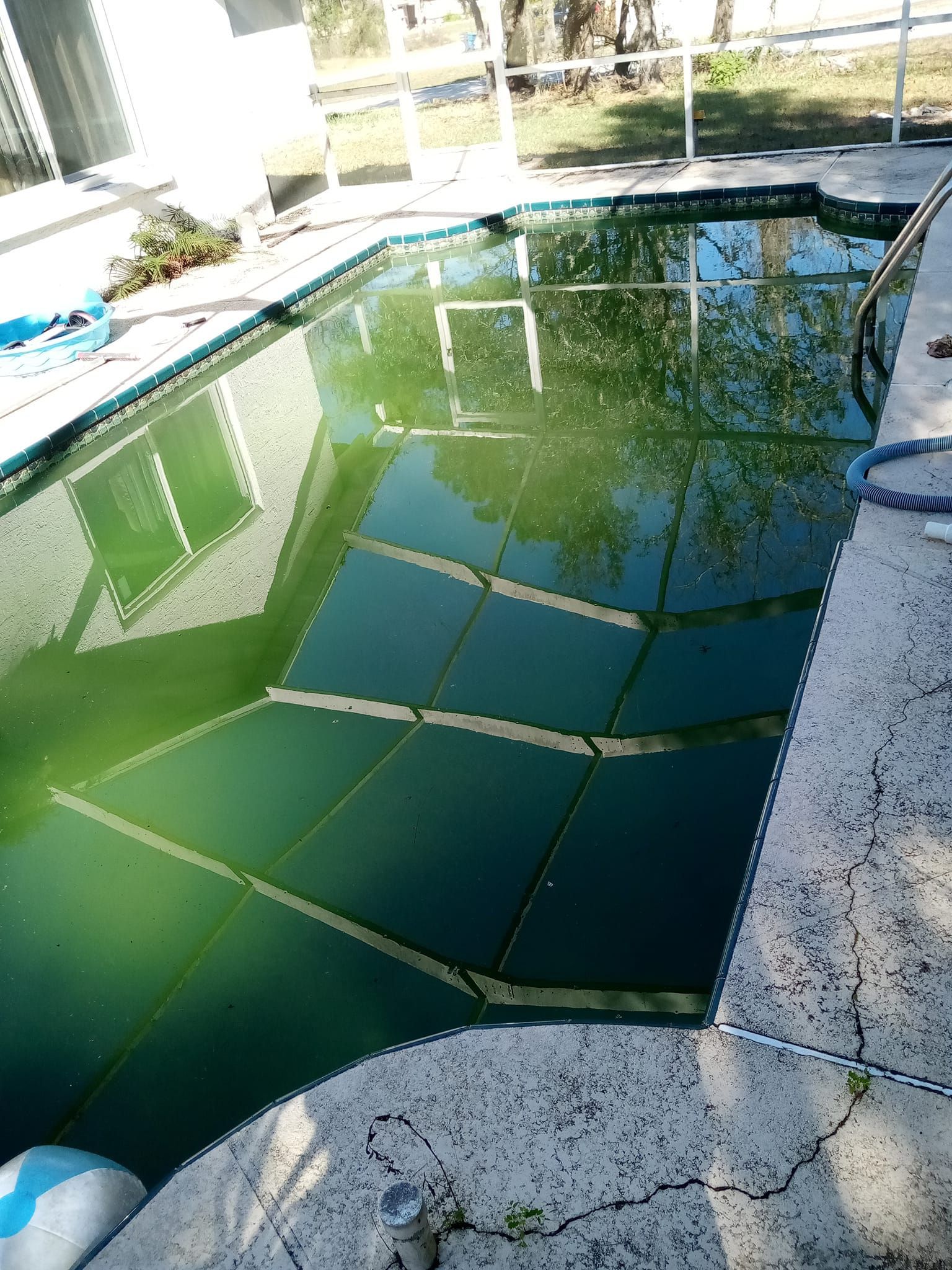 Green algae-filled swimming pool with cracked concrete surrounding. Blue pool hose nearby.