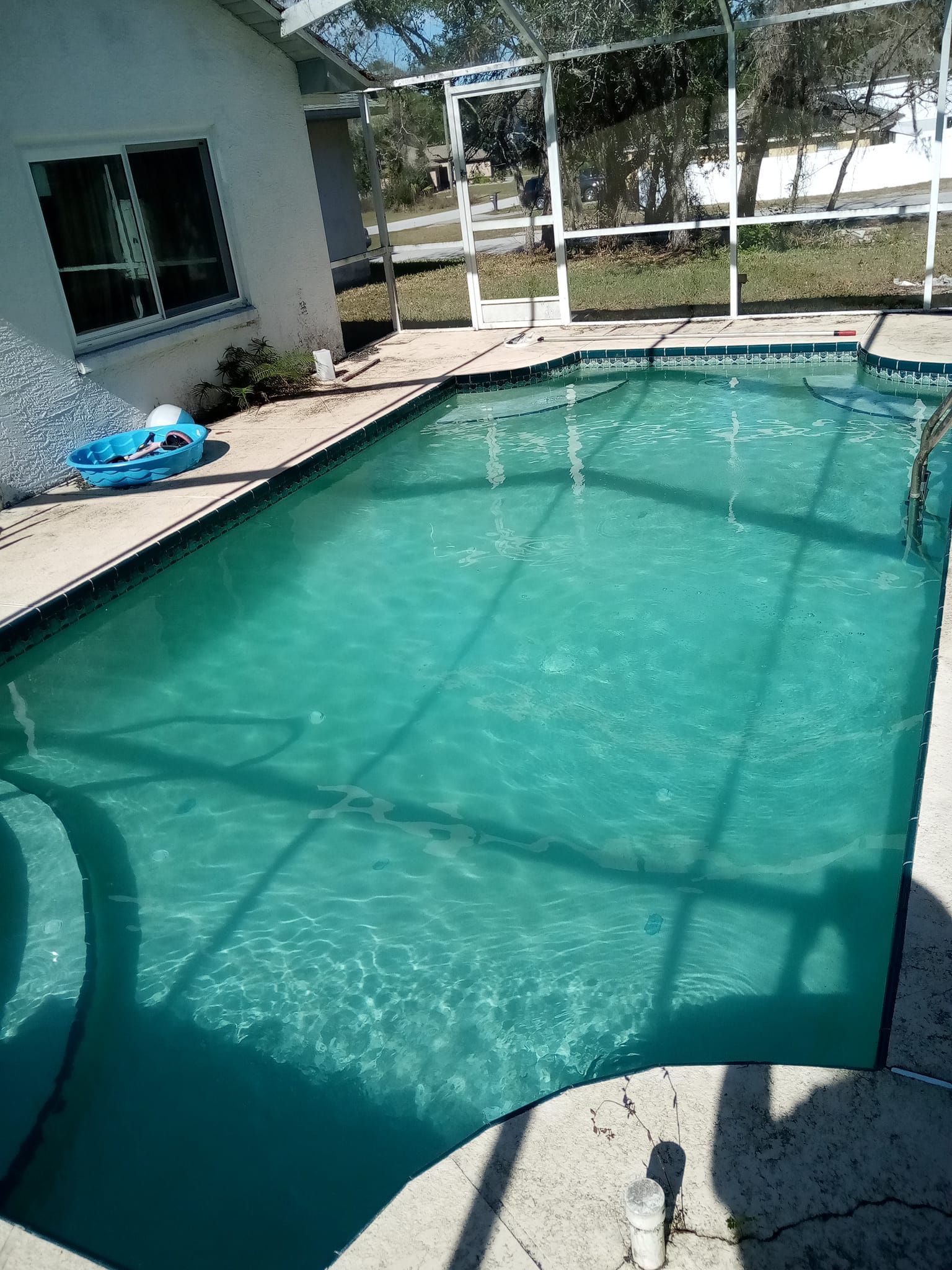 A rectangular swimming pool filled with turquoise water, surrounded by a concrete deck and screened enclosure.