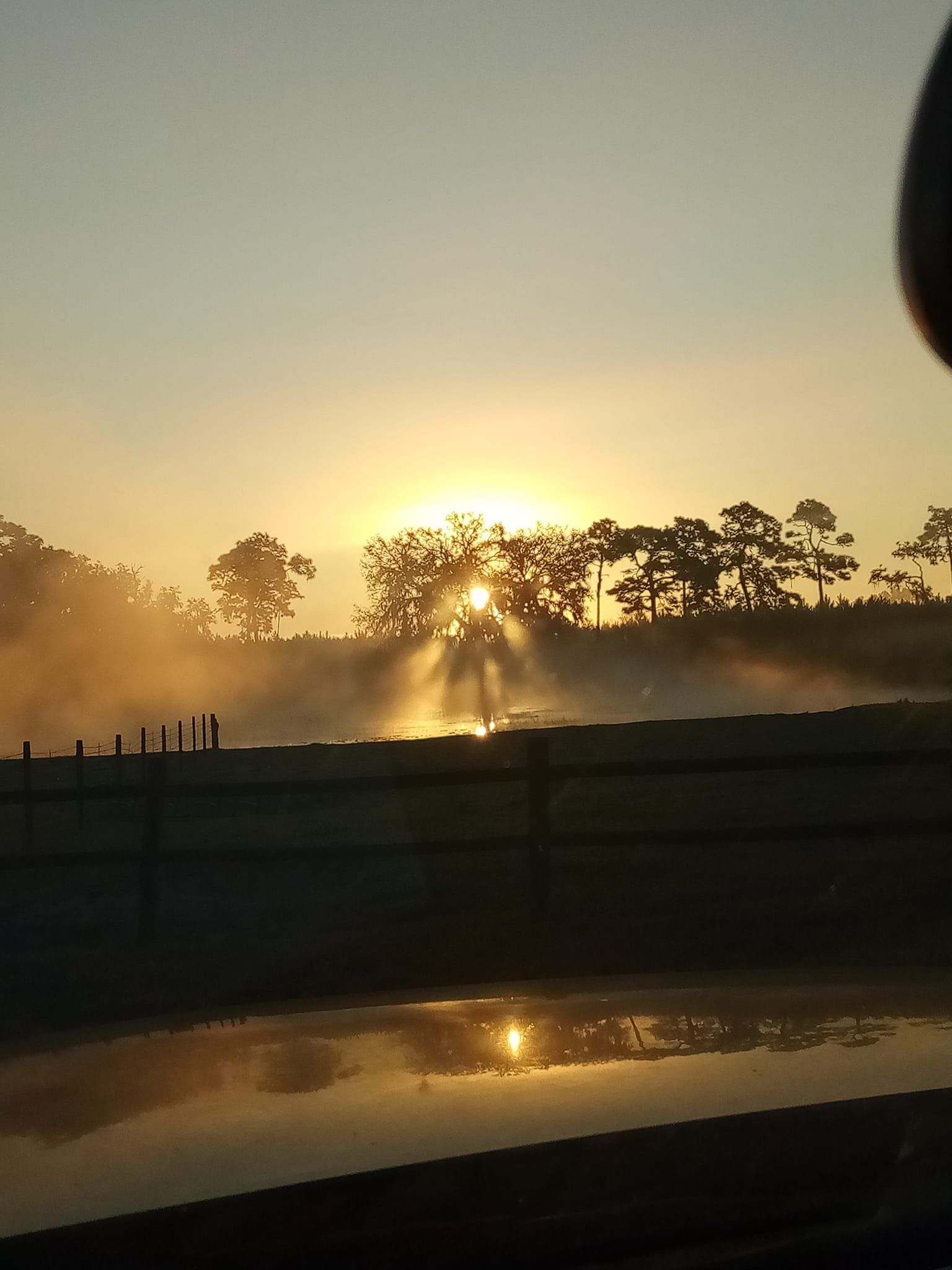 Sunrise through trees, with beams of light and fog, reflecting in water.