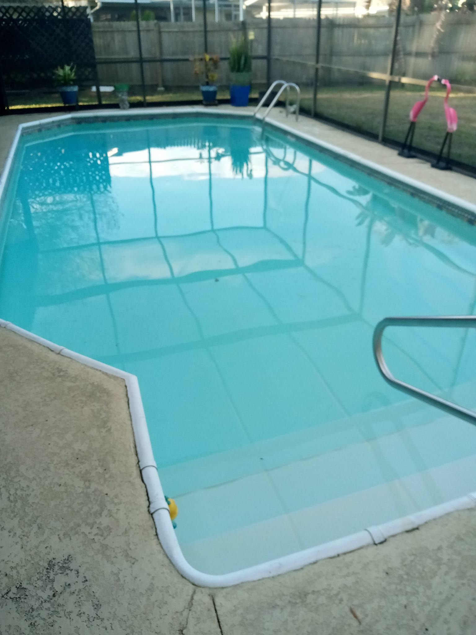 Rectangular pool with clear water, surrounded by concrete and a screened enclosure.