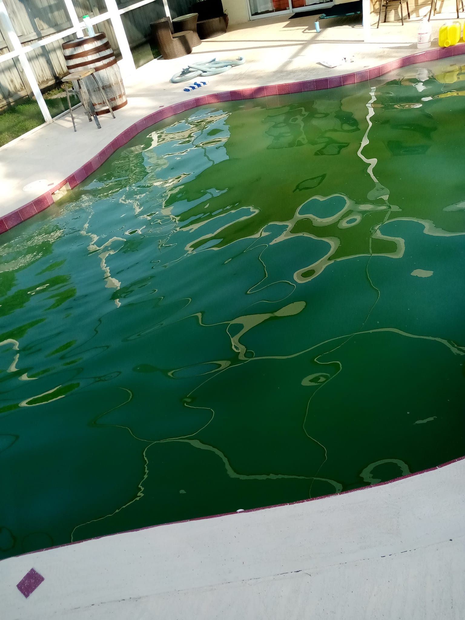 Green, algae-filled swimming pool; water surface with white border.