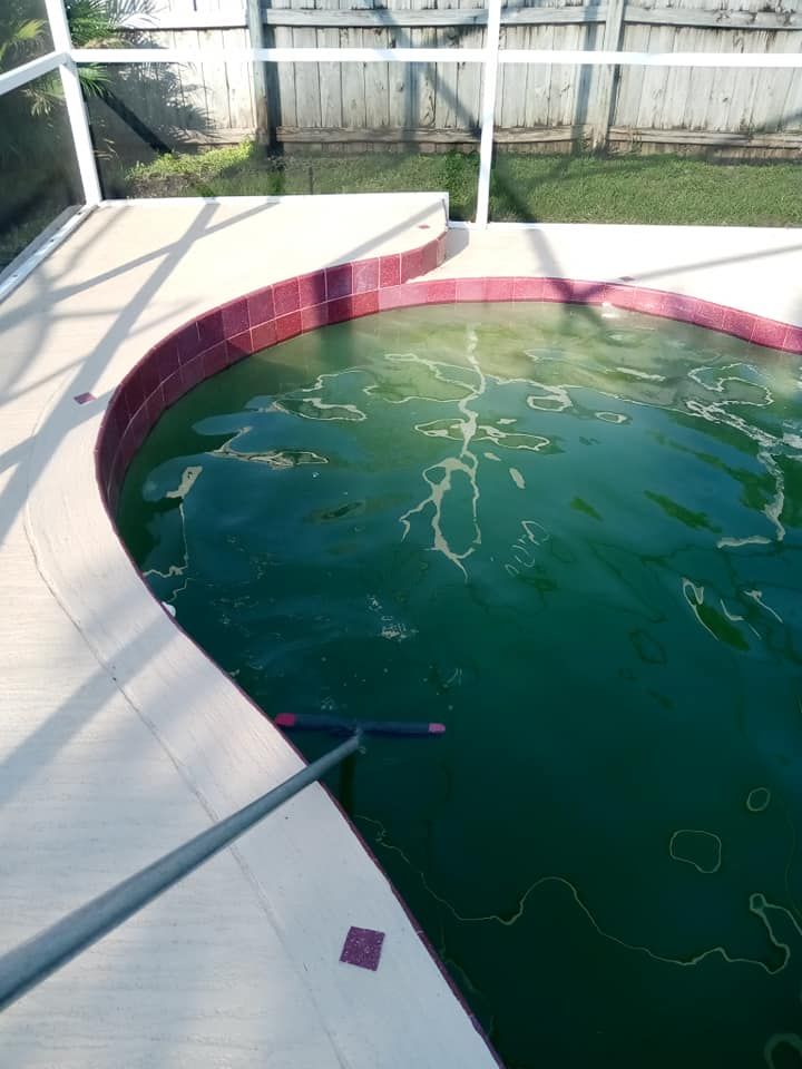 Green, algae-filled pool, pool brush, outdoor setting with white fence.