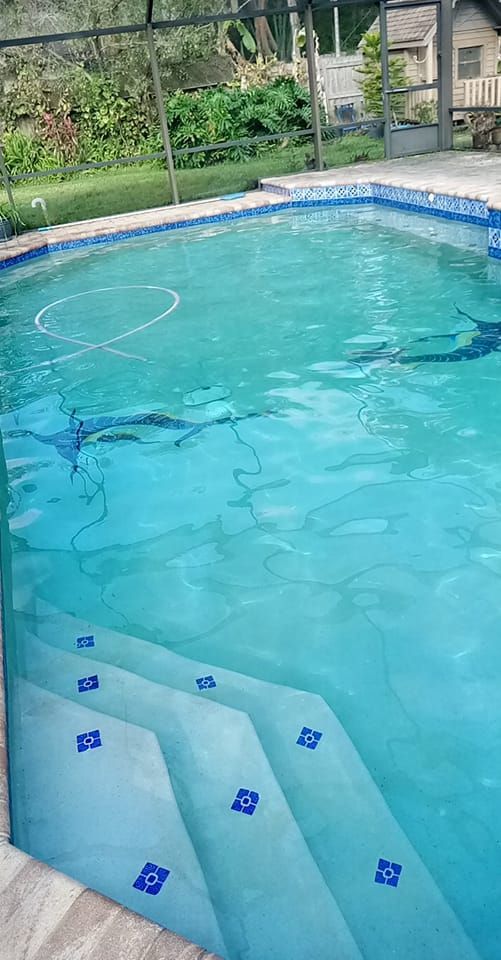 Swimming pool with tiled steps; blue water, blue and white tile accents, and a screen enclosure.