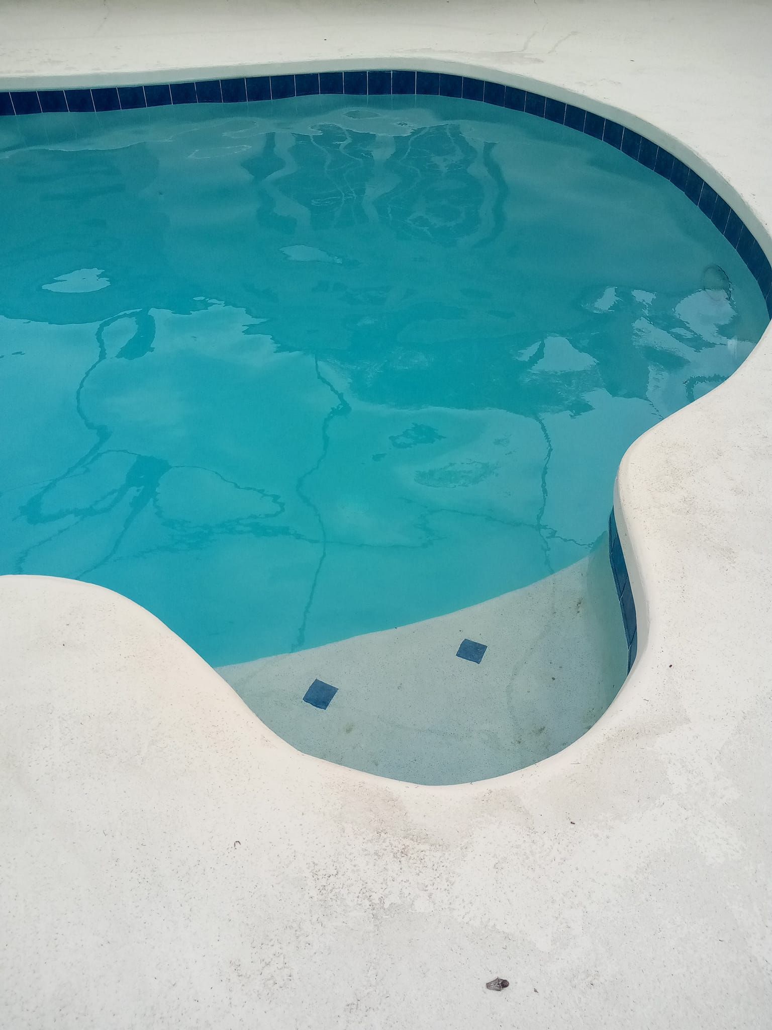 Swimming pool with turquoise water, white concrete edges, and dark tile trim.