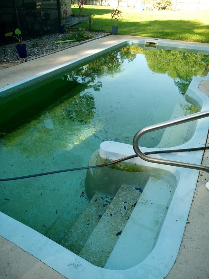 Green algae-filled swimming pool with blue painted concrete and metal handrails.