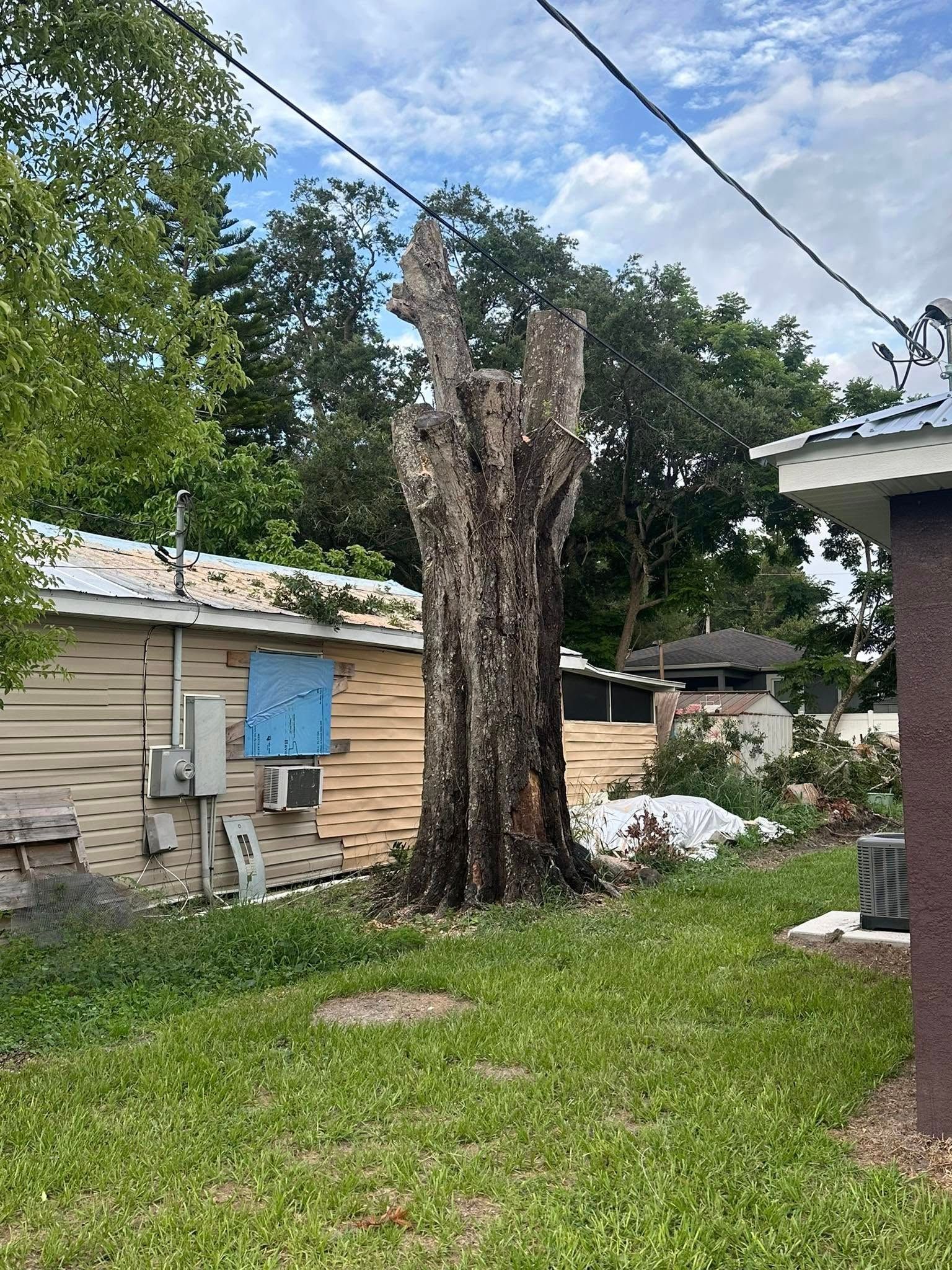 Dead tree trunk in backyard, with utility boxes and house visible.