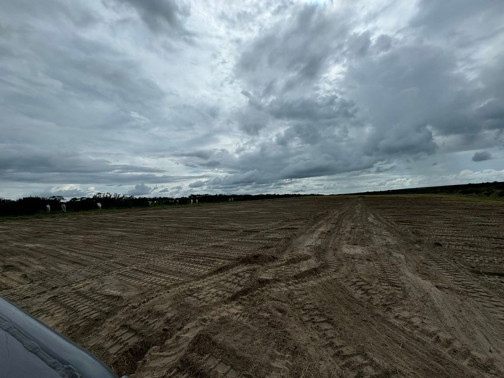 A muddy, cleared field under a cloudy sky. Tire tracks visible on the ground.