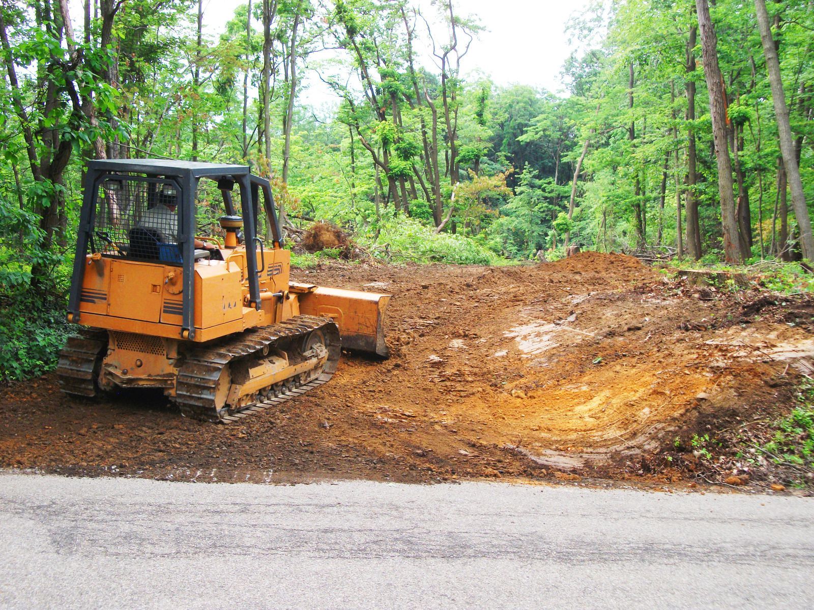 A bulldozer clearing land beside a road, surrounded by trees; orange and green.