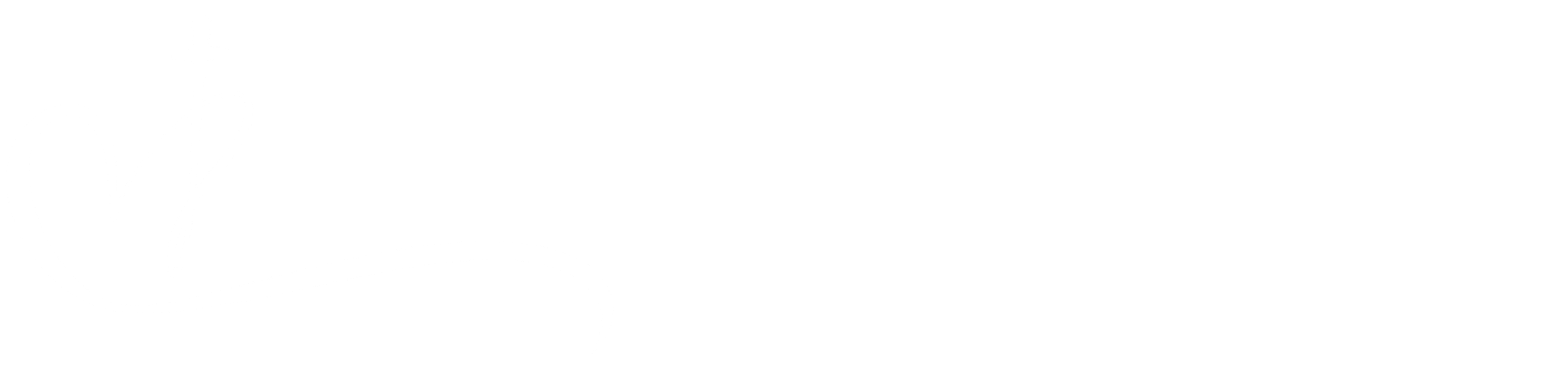 White horizontal bar on a white background, resembling a blank banner or separator line