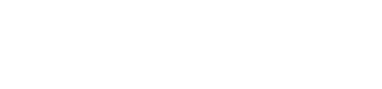White horizontal bar on a white background, resembling a blank banner or separator line