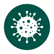 Please Call for Information Mold Remediation Leads