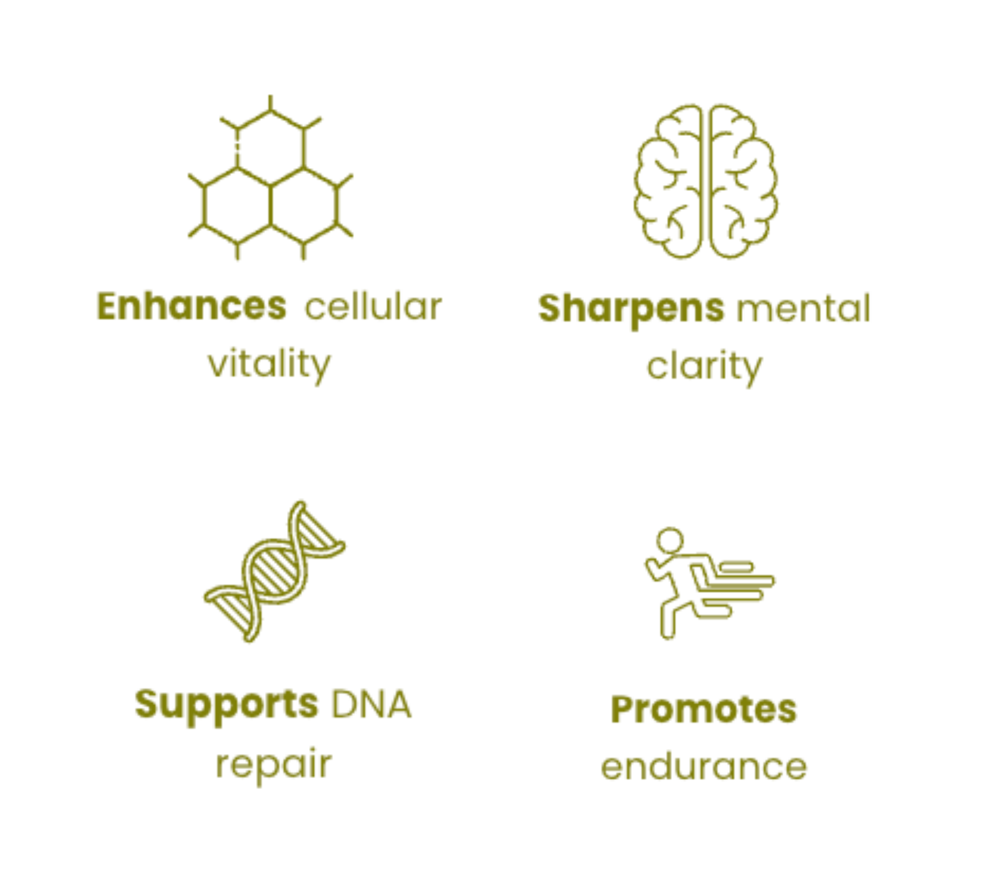 About Our Tech | Tiny Forge Supplements