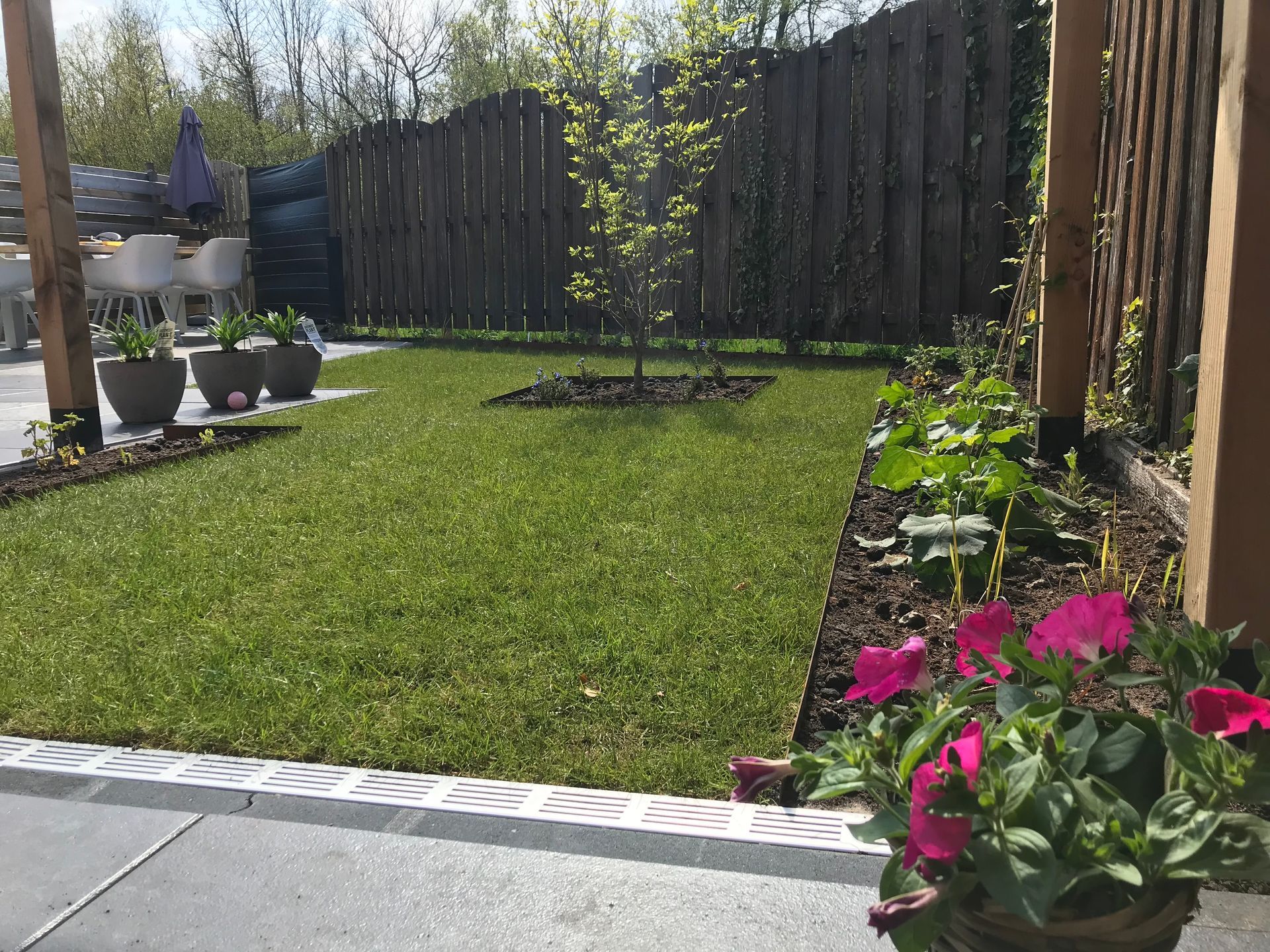 Een aangelegde achtertuin met een klein gazon, een centrale boom, houten schutting, potplanten en een betegeld terras.