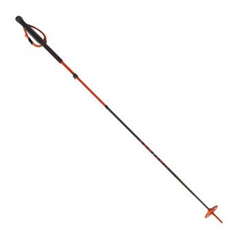 Ski Poles