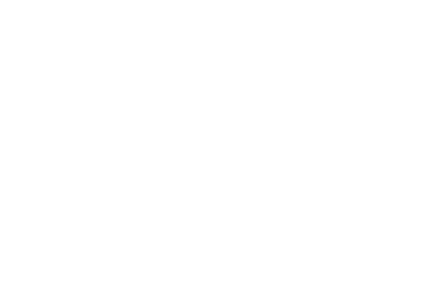 Storage Star Self-Storage Logo White