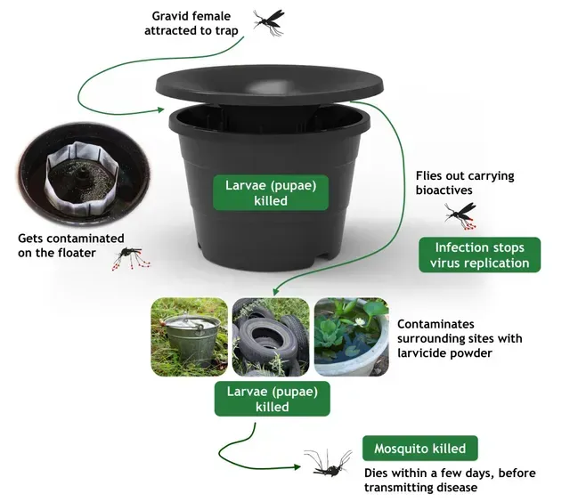 How Mosquito Trap Works