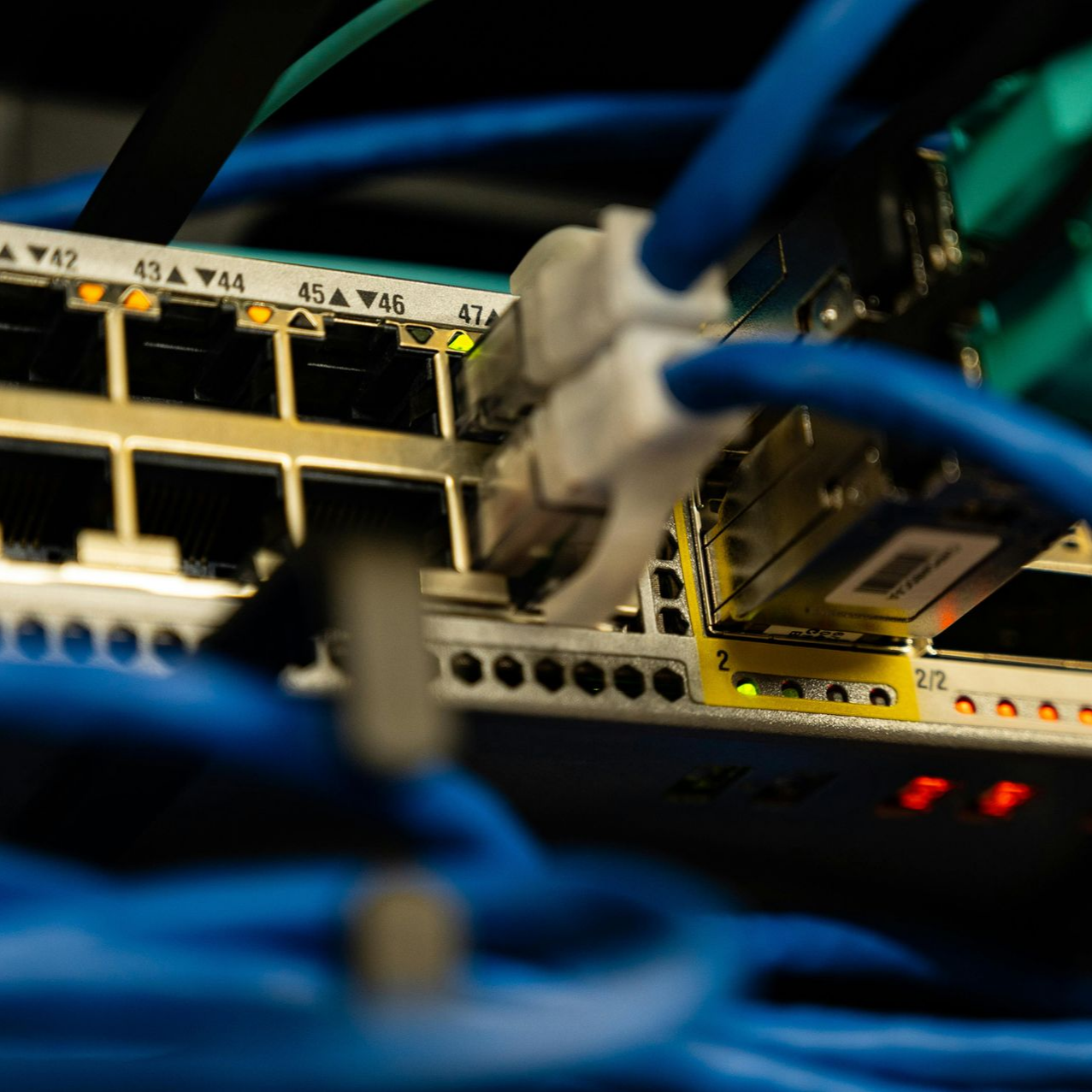 Blue network cables connected to a server switch with lit ports and blinking status lights