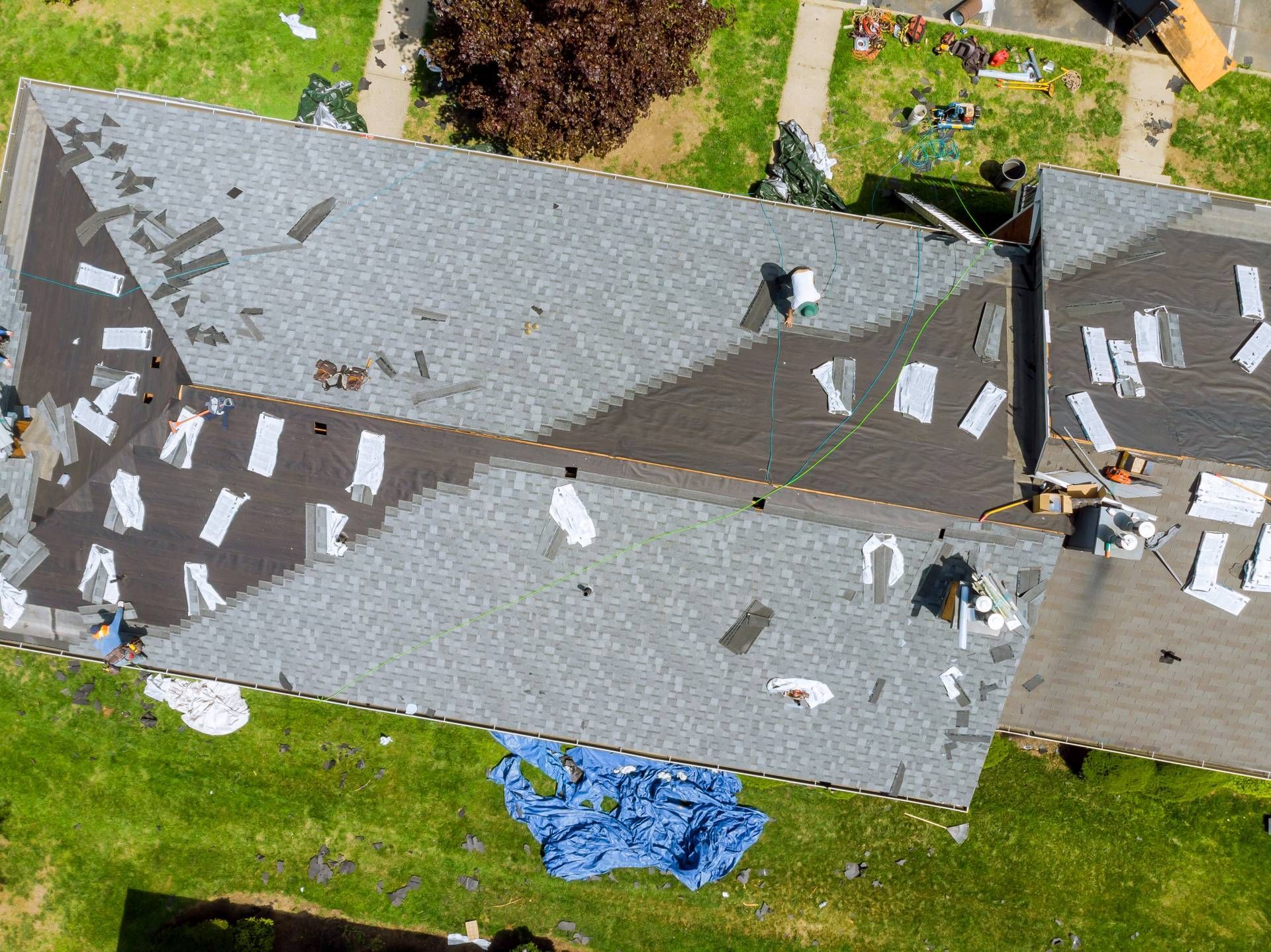 Aerial view of a gray roof with many birds and a blue tarp in a grassy yard