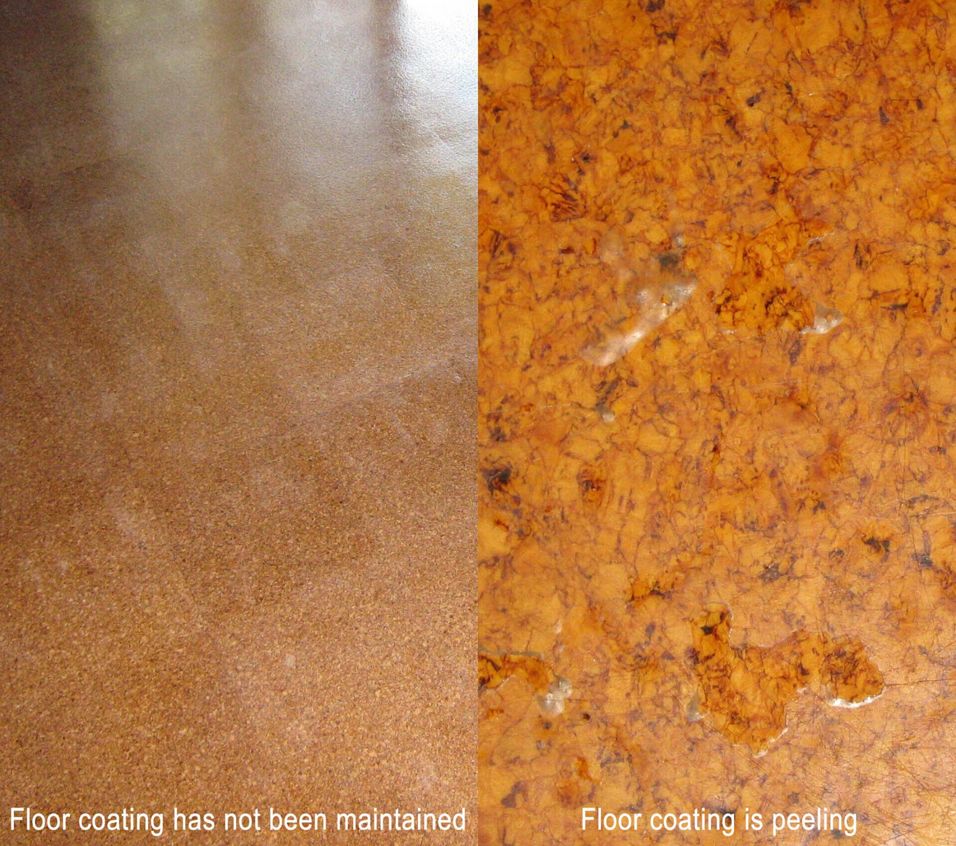 Resanding & Resurfacing Cork Floors Cork Interiors
