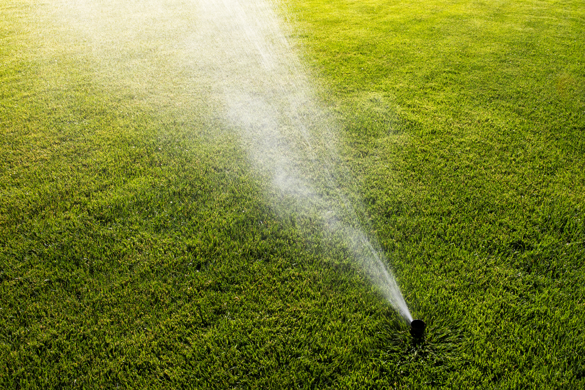 Sprinkler spraying water over a green lawn in bright sunlight