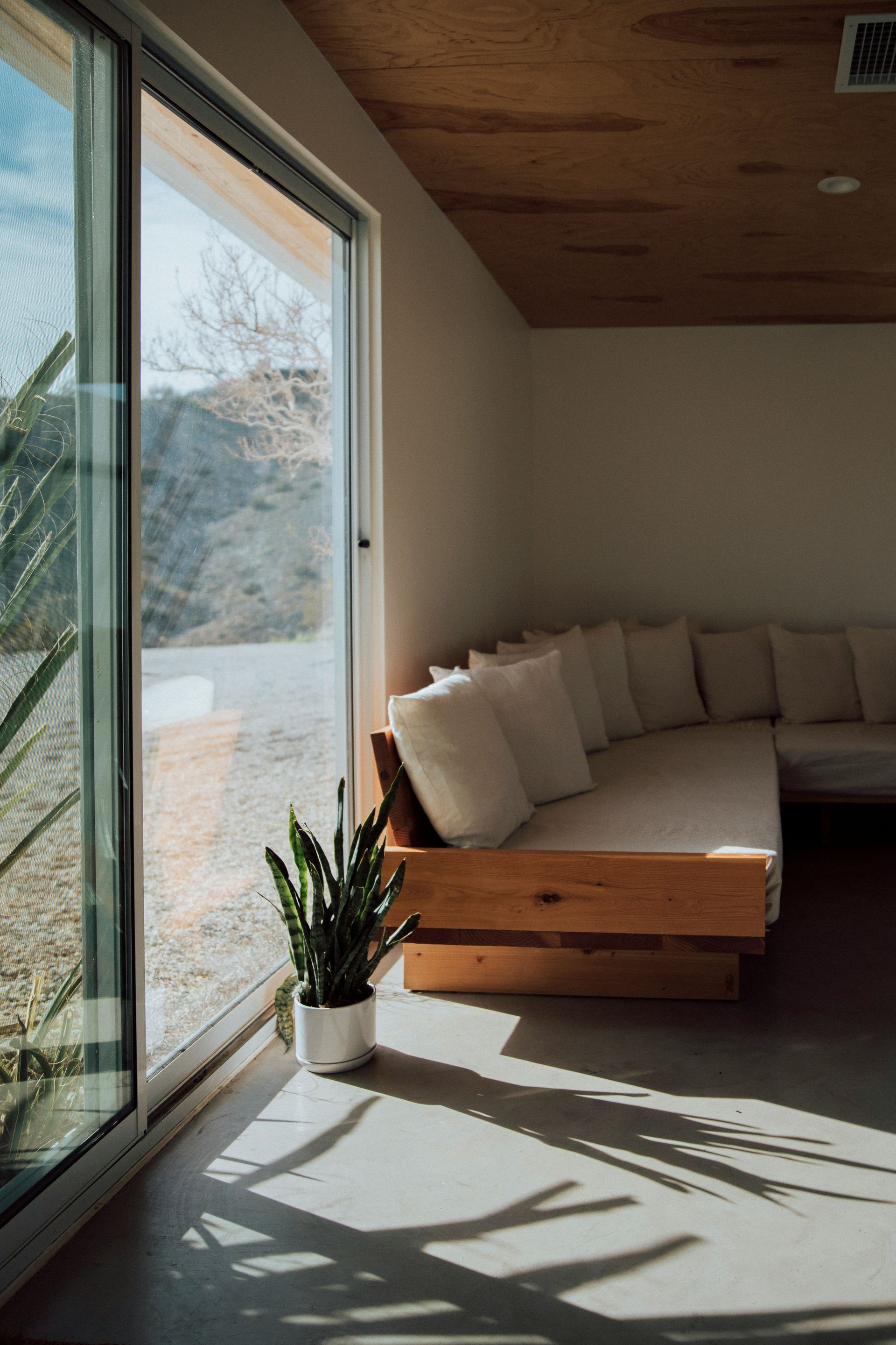 Sunlit living room with large window, wooden sofa, and potted plant.