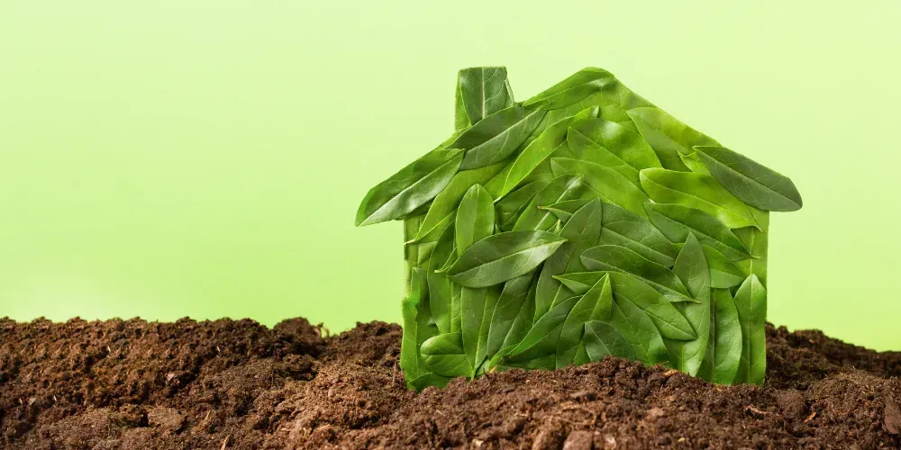 Small green house made of leaves growing from soil against a light green background