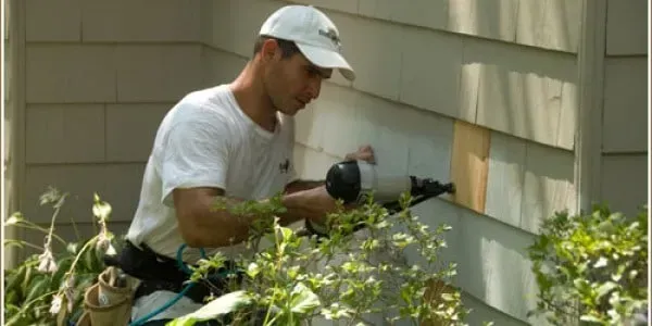 Person trimming bushes along a house exterior with power tools