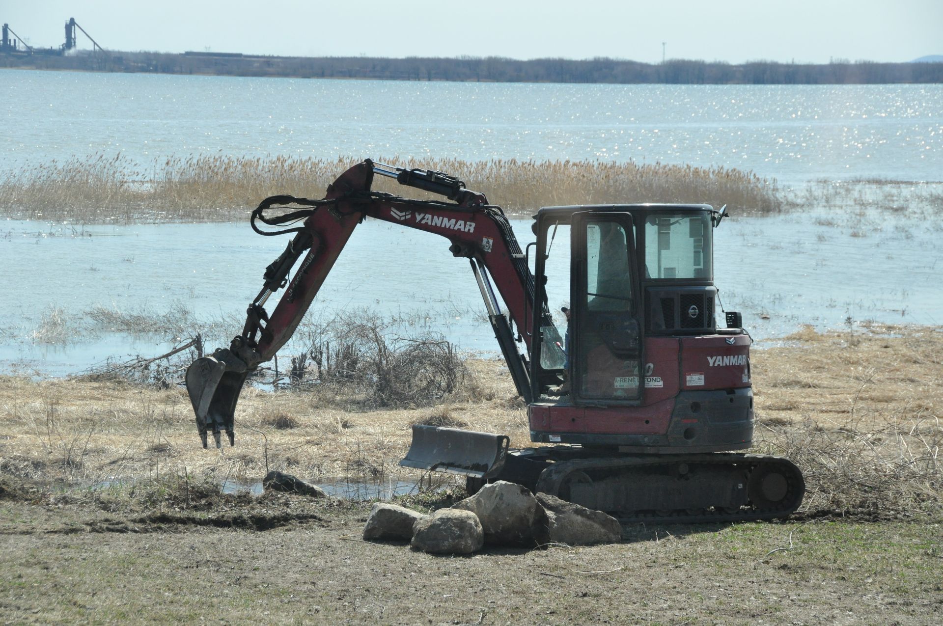 Une pelle mécanique Yanmar rouge sur une rive herbeuse, face à une étendue d'eau.