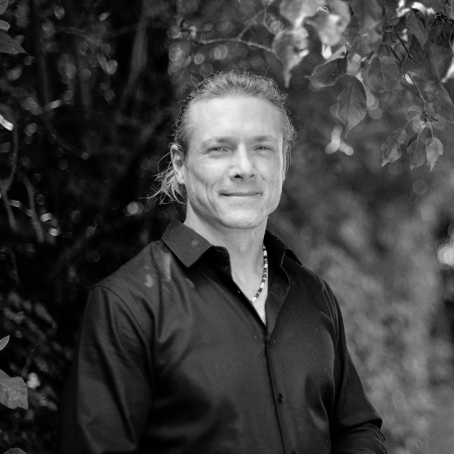 Sander van der Stok