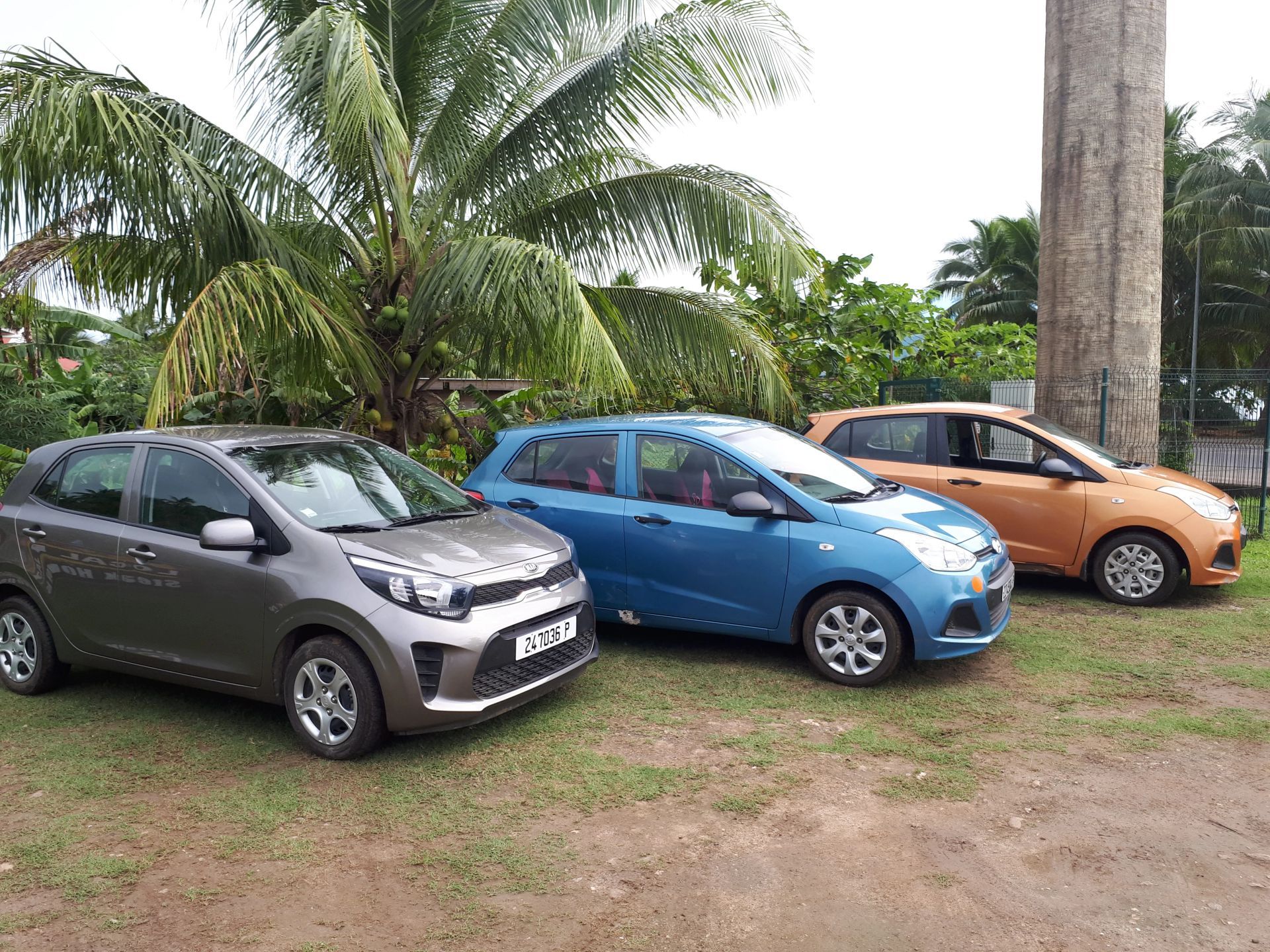 Three parked cars—gray, blue, and orange—on grass with palm trees in the background