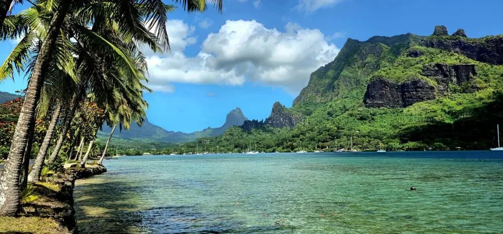 Tropical beach with palm trees, clear blue water, and green mountains under a bright sky