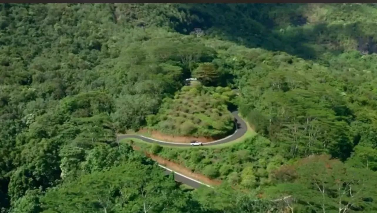 Winding mountain road cutting through dense green forest aerial view