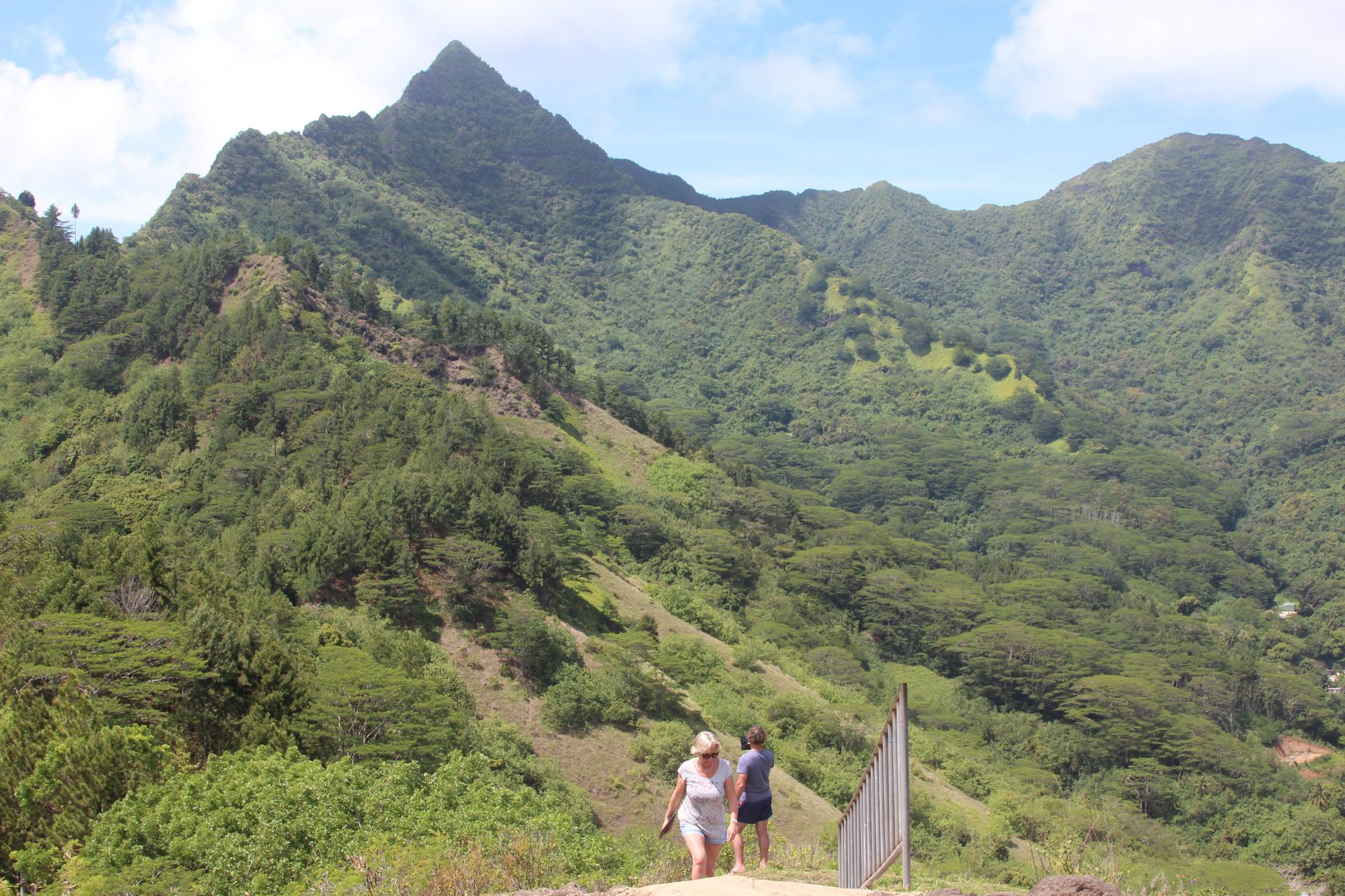 Hikers on a path through lush green mountains under a blue sky