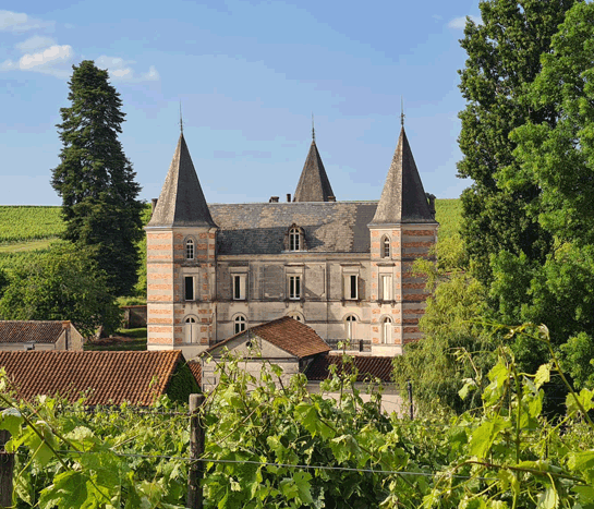 Chateau Font Pinot, Mutterhaus von Cognac Frapin