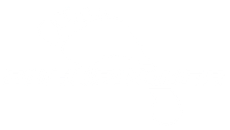 White background.