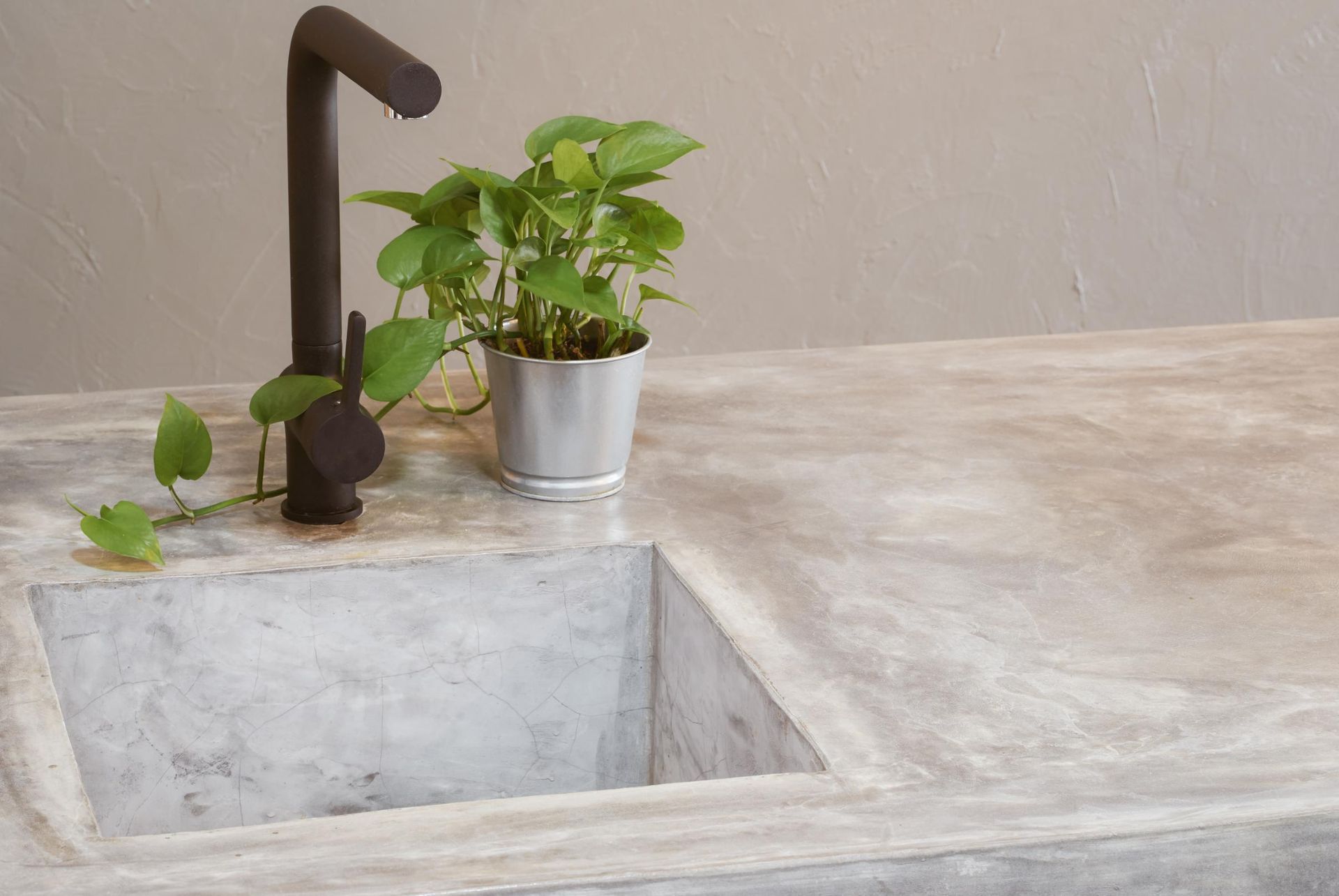 Concrete sink with black faucet, a potted plant sits nearby.
